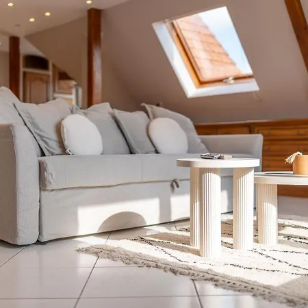 Apartamento Le Nid Alsacien - Typique Et