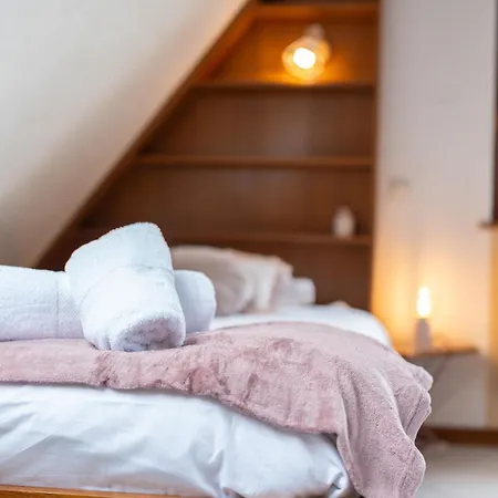 Le Nid Alsacien - Typique Et Lejlighed *