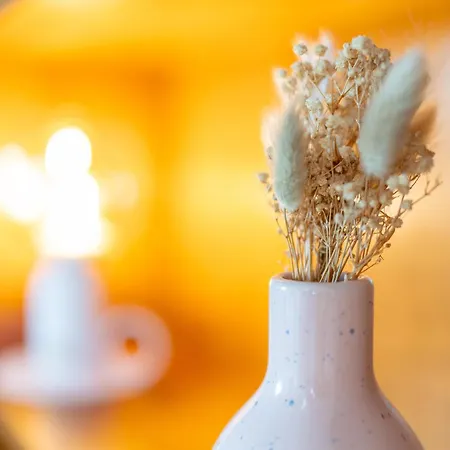 Le Nid Alsacien - Typique Et *