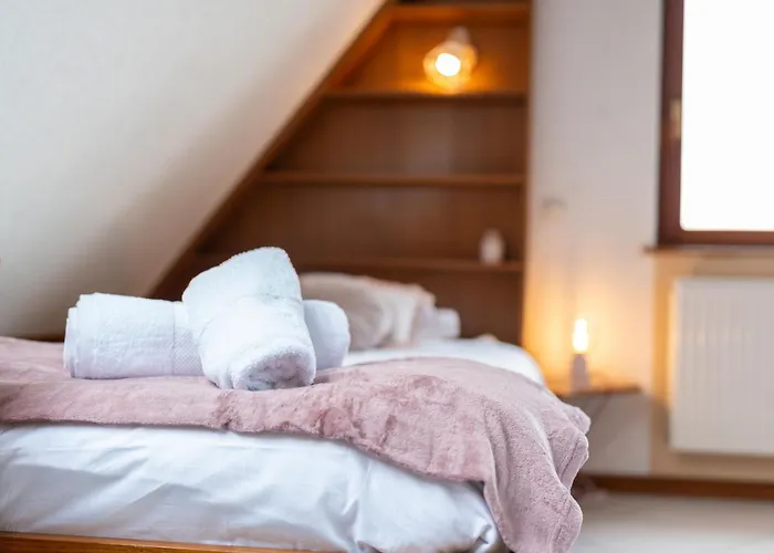 Le Nid Alsacien - Typique Et Lägenhet *