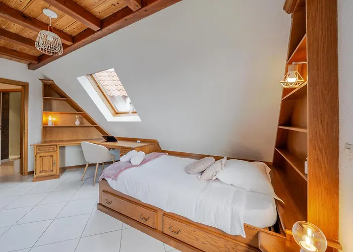 Le Nid Alsacien - Typique Et Lägenhet *